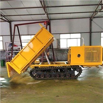 Dumper Traciedig Bach